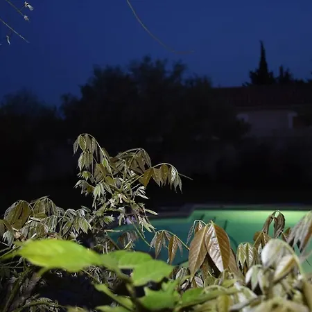 La Grenandise Castillon-du-Gard